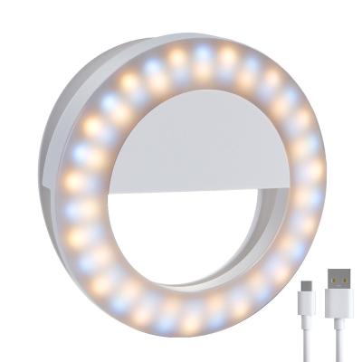 China Ring Light with 60 Led Selfie Ring Light 3-Level 600mAh Adjustable Selfie Led Ring Flash Light For iPhone 11 12 iPad Laptop Selfie Ring Light Led for sale