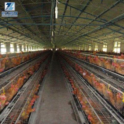 China Durable Raising Broiler Steel Structure Prefab Chicken House for sale