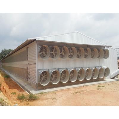 China Prefab Double Storey Prefab Broiler Poultry Farm Shed Steel Fabricated Chicken House for sale