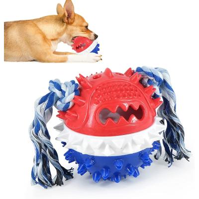 China Sustainable Durable TPR Non-Toxic Squeaky Dog Molar Bite Chew Toy Ball Dog Teeth Cleaning Dog Toys for sale