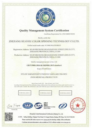 ISO9001 - Zhejiang Huayou Color Spining Technology Co., Ltd.