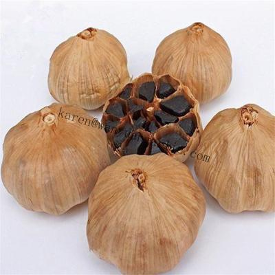 China Dry 2021 Black Garlic Best Selling Wholes for sale