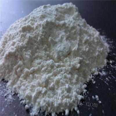 China 1st grade dry white garlic powder dried good quality garlic powder for sale