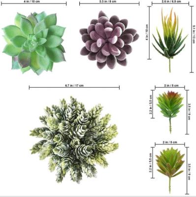 China Beautiful colorful flocking plastic succulents succulent flower arrangement props flower decoration plant pot simulation succulents for sale