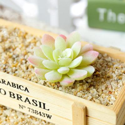 China Wholesale Minimalist Mini Assorted Live Green Artificial Cactus Succulent Plant For Decoration for sale