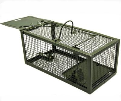 China Disposable Humane Live Mouse Cage Trap for Mice, Rats, Door Hook and Release, Green High Quality Rat Bait Station for sale