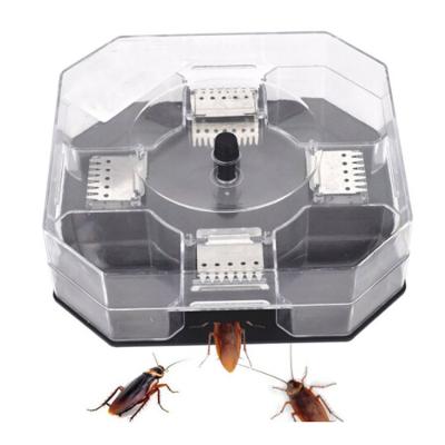 China Pest Control Cockroach Killer Trap Disposable Safe Effective Plastic Roach Bait for sale