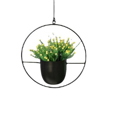 China New-fashion Iron Flower Pot Hydroponic Plant Hanging Orchid Pot Garden Decoration European Balcony for sale