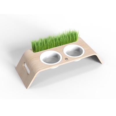 China Sustainable Creative Design Raised Pet Bowls Cat Bowls With Pet Grass Planting Groove for sale