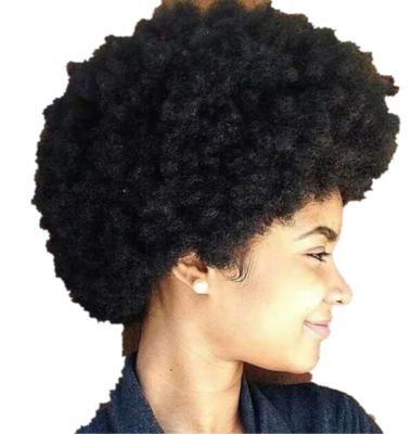 China Afro Kinky Curly Short Human Hair 100 Lace Closure Virgin Wig 4a 4b 4c Short Afro Curly Wig for sale