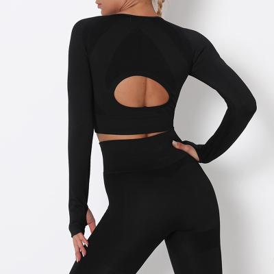 China Logo New Arrival Seamless Yoga Top Fitness Longsleeve Gym Wear Custom Yoga Crop Workout Apparel For Women for sale