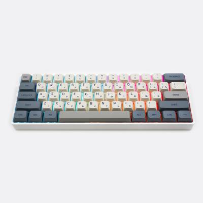 China Standard MATHEW TECH MK61 60% Wireless RGB Gaming Keyboard 61 Keys Compact Mechanical Keyboard Linear Milky Switch for Portable Travel for sale