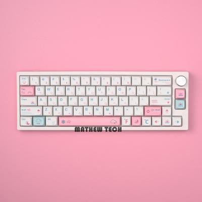 China Mechanical MATHEW TECH MK66 Pro Mechanical Keyboard Customization Wireless Bluetooth RGB Hot-Swappable Gamer Keyboard PBT Keycap for sale