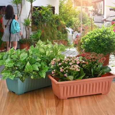 China Country Planter Rectangle Plastic Self Watering Vegetable Pot Self Watering Pot for sale