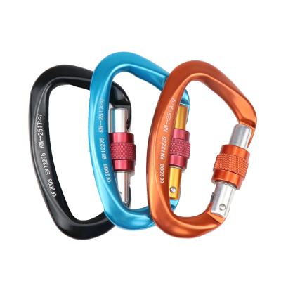 China Carabiner 25KN Carabiner D Mountaineering Caving Climbing Shaped Key Buckle Climbing Safety Screw Lock Equipment for sale