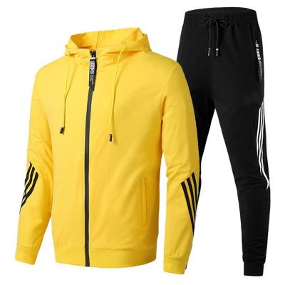 China Antibacterial Wholesale Sports Wear Mens Training Sweatsuit Sets Workout Fitness Running Gym Clothes 2 Piece Hooded Tracksuit For Men for sale