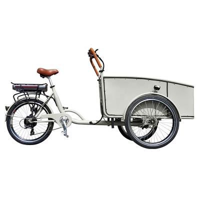 China Cargo Made In China Pedal Assisted Dutch Use 3 Wheel Family Style Electric Bike Cargo For Kids for sale