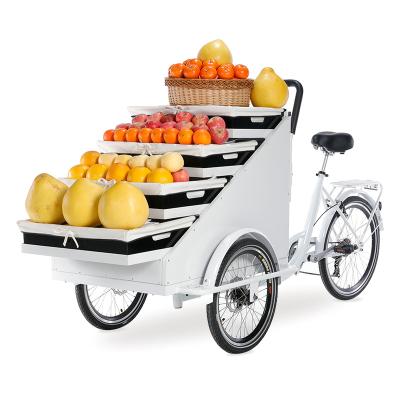 China Retail Tricycle Fruit Rickshaw Vending Food Cart Three Wheels Adult Electric Bike 250W Cargo Bike Motor for sale