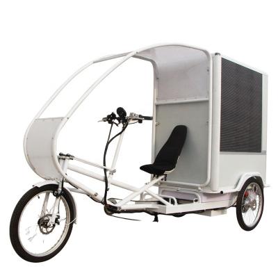 China 1000W Mini Cargo 3 Wheel Tricycle Delivery Truck Electric Cargo Van Vehicles Tricycle for sale