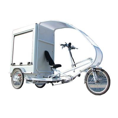 China 3 wheel mini cargo tricycle delivery truck electric cargo van vehicles tricycle for sale