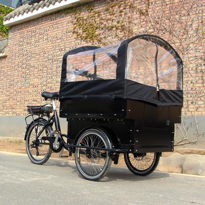 China Chinese Best Quality Cargo Cart Large Bike 3 Wheel Cargo Tricycle For Sale for sale