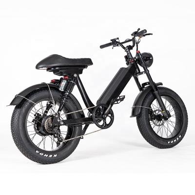 China Aluminum Alloy Hot Selling Fat Tire Mountain Bike 20 Inch Electric Hybrid Dirt Bike Ebike 1000w 48v For Woman for sale