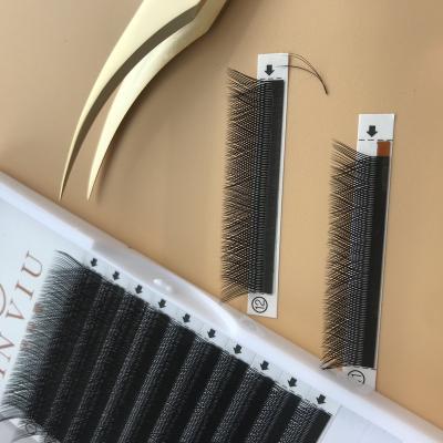 China YY Long Natural Eyelash Extension Whips Premade Volume Black Easy Fans Extension Soft 