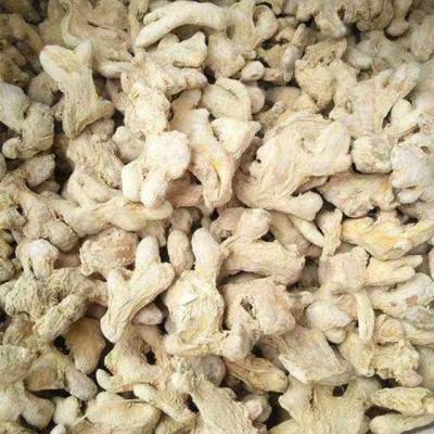 China Fresh Competitive China Export Price Air Dried Ginger for sale