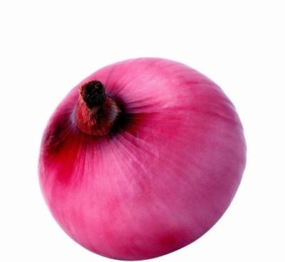 China Fresh Red Onions Specifications and Bulk Prices for sale