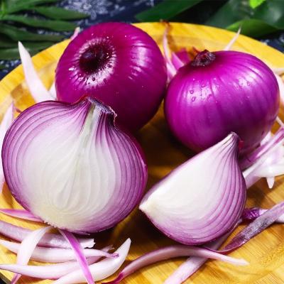 China Wholesale price fresh manufacturers red onions for sale for sale