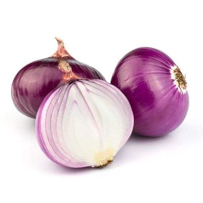 China Exporter Wholesale Price Fresh Fresh Red Onion for sale