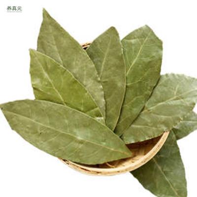 China High Quality Dry Dried Big Bay Leaf for sale