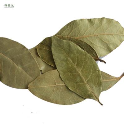 China Here and there large dry well-known condiment bay leaf for sale