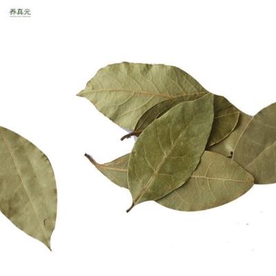 China Factory Supply High Quality Dryer Plant Drying Bay Leaf for sale