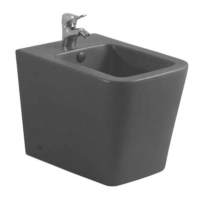 China European Hidden Cistern Design Matte Black Color Ceramic Floor Standing Hotel Bidet Women for sale