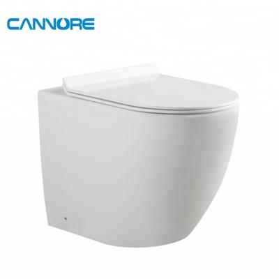 China Concealed Cistern High End Modern Design Dual Water Tank Floor Standing Ceramic Concealed Toilet for sale