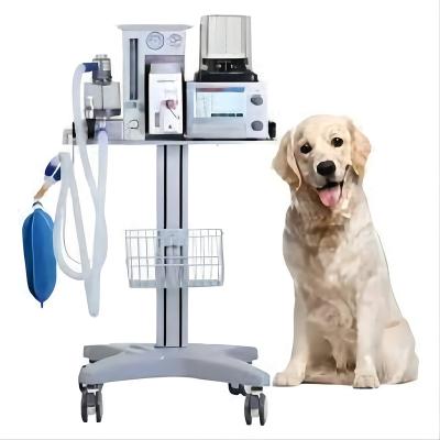 China Wholesale High Quality Veterinary Clinical DM6B Anesthesia Machine For Sale Foinoe DM6B for sale