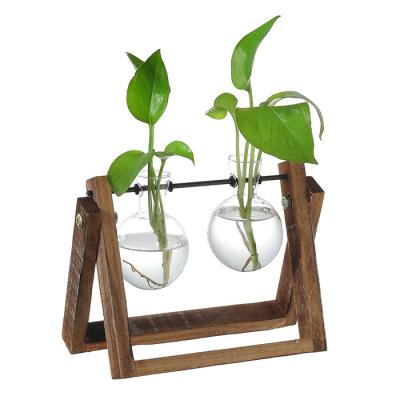 China Modern Home Decoration Planter Bulb Clear Glass Vases Flower Mini Plant Greenhouse With Wooden Stand for sale