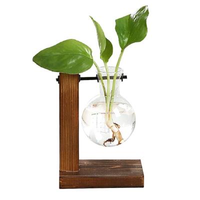 China Modern Creative Hydroponic Glass Vase Holder Bulb Plant Transparent Mini Greenhouse With Wooden Stand for sale