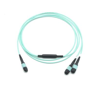 China Data Center Multimode OM3/OM4 24F MPO (Female) to 2x 12F MPO Fiber Patch Cord Trunk (Female) Cable Polarity B 2M for sale