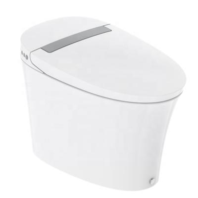 China Modern Chinese Modern High Quality Automatic Flushing One Piece Smart Toilet for sale