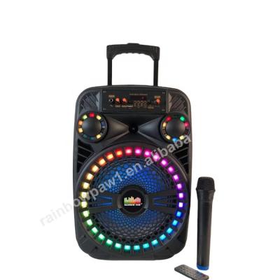 China No 10 Inch Color Lamp Trolley Style Speaker Mode Portable Radio 1080 Speaker With FM/USB/TF/AUX/TWS Wireless Microphone for sale