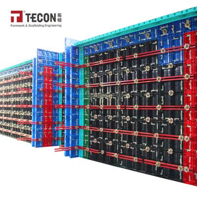 China Universal Application Forming Lightweight And Reusable High Efficiency TECON TP60 Plastic Formwork For Column Wall Slab Concrete for sale