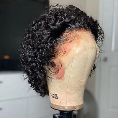 China Cheap Silky Straight Wave 150 180 220 Raw Virgin Cuticle Aligned Brazilian Glueless Deep Curly Ombre Hair Lace Front Wigs For Black Women for sale