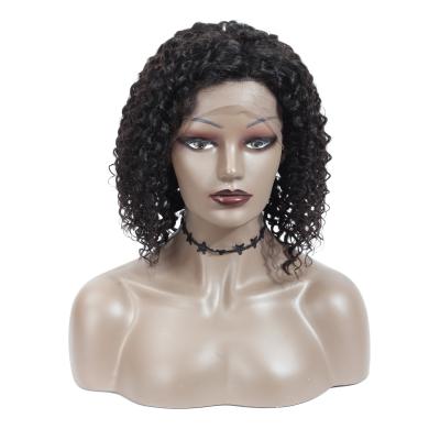 China Jerry Curl Short Curly Lace Wig For Black Women, 6