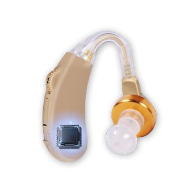 China Bte Invisible Wearing Hearing Aid With Earplugs Invisible Mini Hearing Aids For Superior Deafness for sale