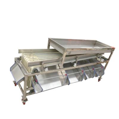 China High Efficiency Apple Garlic Grading Machine Shallots Sorter for sale