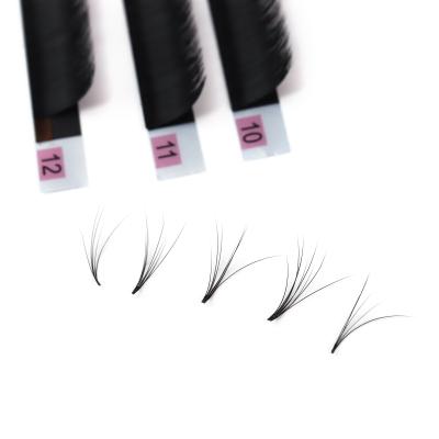 China 2d 3d 4d 5d 6d 10d 20d natural individual premade pre made heat fan bonded volume eyelash extension for sale