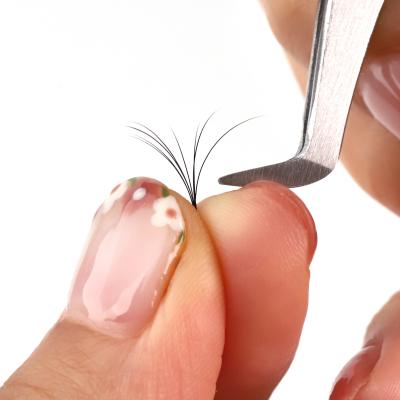 China Factory Price Natural Korean PBT Fiber Pre Made Fan Custom Private DIY Wholesale Eyelash Extensions for sale