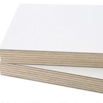 China Furniture HPL Birch Plywood Price List Poplar Plywood Goods Shandong Kitchen MDF Board LVL OSB Shuttering Plywood Sheet for sale